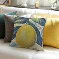 thumbnail image 3 of BANET Decor Farm Decorative Cushion Case for Sofa Couch Vintage Fruit Decorations Throw Pillowcase 24x24in, 3 of 5