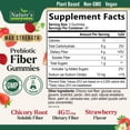 thumbnail image 2 of Prebiotic Fiber Gummies - 4g Dietary Fiber Per Serving - Extra Strength Daily Supplement for Adults - Tasty Strawberry Flavor - Plant Based Digestive and Regularity Support - 60 Gummies, 2 of 9