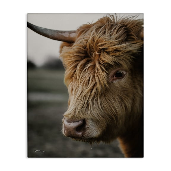 Stupell Industries Farmhouse Cattle Gazing Portrait Canvas Art, 24 x 30, by Dakota Diener