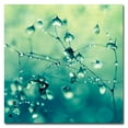 thumbnail image 2 of Trademark Fine Art 'Spring Notes' Canvas Art by Beata Czyzowska, 2 of 3