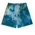 thumbnail image 1 of Pantalones cortos de fitness para hombre, Shorts masculinos de malla transpirable, a la moda, de estilo deportivo, Para playa, 2024blue wu, 1 of 5