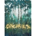 thumbnail image 2 of OToole, Tim 15x18 Black Ornate Wood Framed with Double Matting Museum Art Print Titled - Glow in the Forest II, 2 of 4