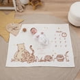 thumbnail image 2 of NoJo Disney Classic Winnie the Pooh Milestone Baby Blanket, 2 of 4