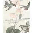 thumbnail image 2 of Studio W 20x24 Gold Ornate Wood Framed with Double Matting Museum Art Print Titled - Soft Hummingbirds I, 2 of 4