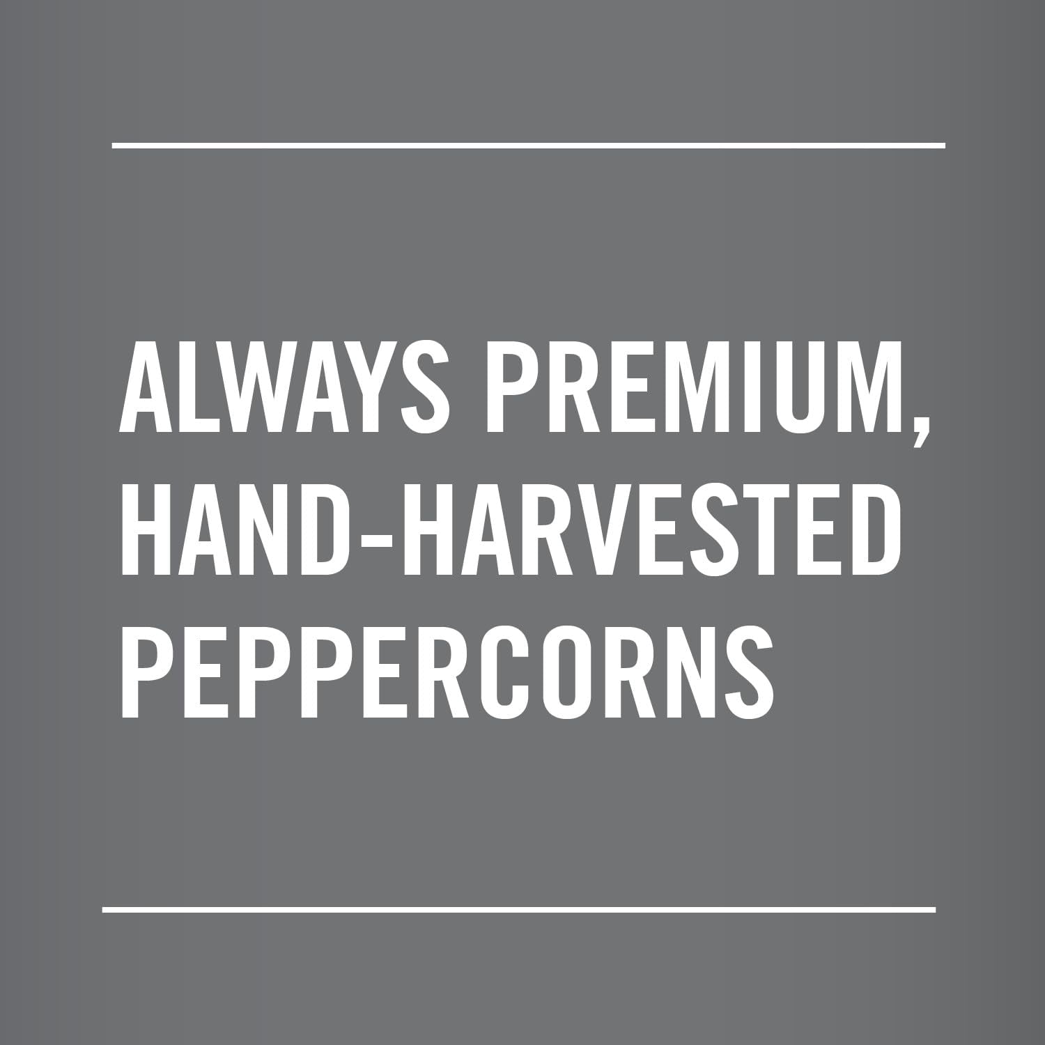 McCormick Whole Black Pepper MFF30 (Made with Whole Peppercorns), 17.5 oz