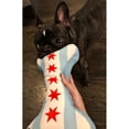 thumbnail image 2 of Chicago Flag Dog Bone Toy, 2 of 2