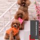 thumbnail image 3 of Billuyoard Abrigos seguros y no tóxicos para mascotas de invierno, opción de ropa saludable e higiénica, chaquetas para perros Ropa para mascotas plata XS, 3 of 6