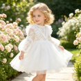 thumbnail image 4 of WOYY Toddler Girls Lace Ruffle Tulle Princess Dress Long Sleeve Birthday Party Dress,White, 4 of 8