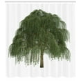 thumbnail image 3 of Ambesonne Willow Tree Shower Curtain, Joyous Botanical Leaves, 69"Wx84"L, Green Olive Green, 3 of 3