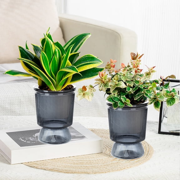 TONGYIJIA Self Watering Planter, Clear Hydroponic Vase, Glass Propagation Vase For Bamboo, Soil and Water Planter Pot For Home, Plants Growing Bottle For Herbs