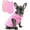 pink,light pink, variant on 2 Pieces Fleece Dog Sweater Vest Winter Warm Dog Sweaters for Small Dogs Male Female Fall Pullover Doggie Clothes with D-Ring Soft Puppy Cold Weather Coat Clothing