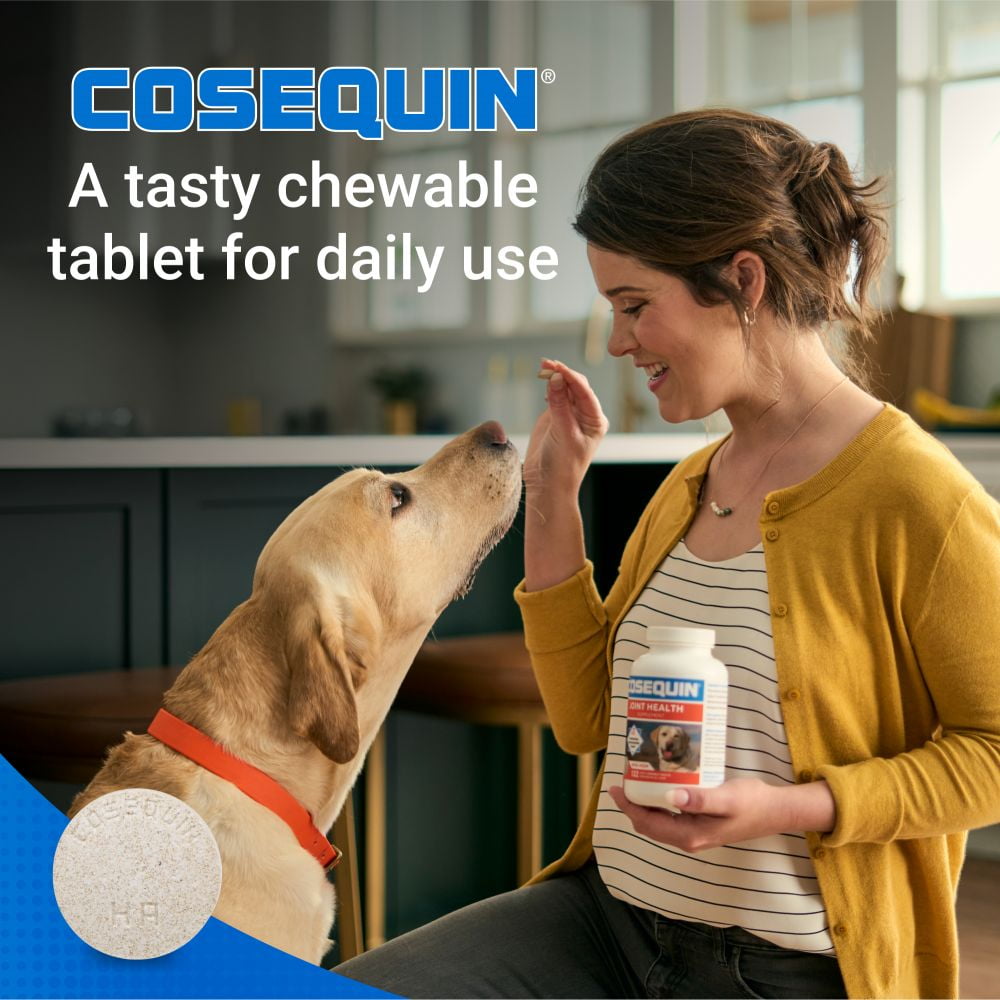 Nutramax Laboratories Cosequin Maximum Strength Joint Health Supplement for Dogs - With Glucosamine, Chondroitin, MSM, and Hyaluronic Acid, 75 Chewable Tablets