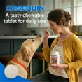 thumbnail image 2 of Nutramax Laboratories Cosequin Maximum Strength Joint Health Supplement for Dogs - With Glucosamine, Chondroitin, MSM, and Hyaluronic Acid, 75 Chewable Tablets, 2 of 11