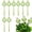 Green-8pc#002, variant on Self Watering Globes, Glass Plant Watering Globes, Self Watering Planter Insert, Automatic Plant Waterer Indoor, Plant Watering Devices, Plant Water Globes for Indoor Outdoor Plants