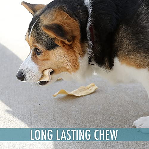 Are Buffalo Ears Safe For Dogs