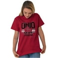 thumbnail image 3 of Ohio Buckeye Leaf Nut Distressed Men's Graphic T Shirt Tees Brisco Brands S, 3 of 6