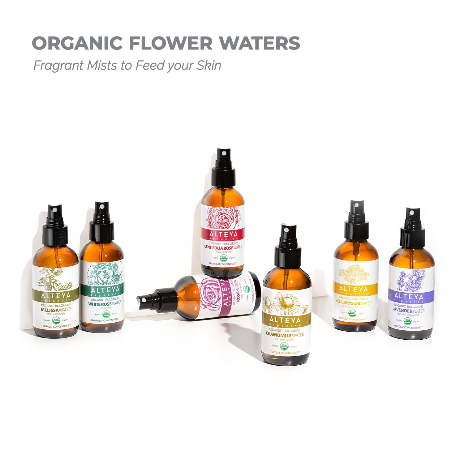 Alteya Organics Bulgarian Rose Water Hydrolat Concentrate 8 Ounces