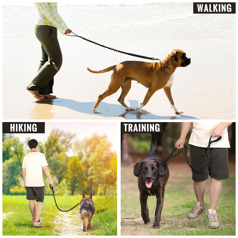 Plutus Pet Taktische Hundeleine Mit Bungee & 2 Griffen – Reflektierend, Karabinerverschluss, Für Mittlere/große Hunde