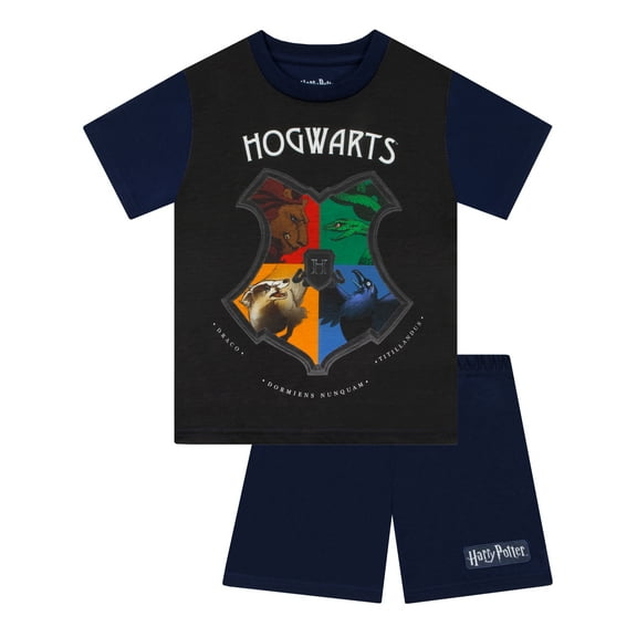 Harry Potter Boys Hogwarts Pajamas Blue Sizes 6-14