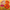Orange Abstract Floral, variant on Yayeee Kitchen Curtains Light Filtering 27"x36" Rod Pocket Short Cafe Window Panel, Abstract Floral