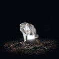 thumbnail image 1 of Vanishing Life - Surveillance (Vinyl LP), 1 of 2