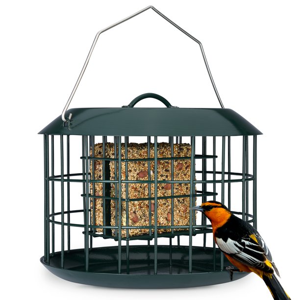 Kingsyard Squirrel Proof Suet Feeder, Cage Bird Feeders for Outdoors