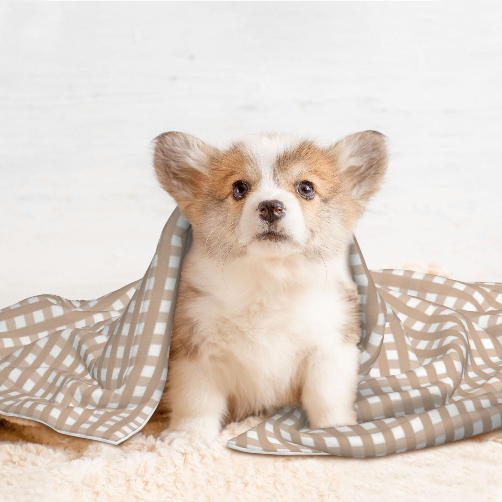 Naloa Brown Gingham Dog Blanket, 3 Sizes Cat Blanket for Indoor Cats Large Medium Small Dog Gifts-Medium