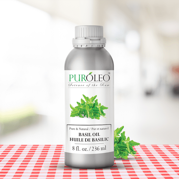 PUROLEO Huile Essentielle de Basilic 8 Fl Oz/236 ml (Emballé au Canada) 100 % Pure, Naturelle et Non Diluée Huile d'Aromathérapie pour Diffuseur, Massage et Soins de la Peau - Parfum Vivifiant et Rafraîchissant pour la Détente