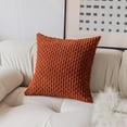 thumbnail image 2 of Ksopiavobs Fall Soft Velvet Solid Square Decorative Cushion Cover Handmade Pillowcase with Hidden Zipper for Seasonal Autumn, 2 Packs, 18x18 inch, Burnt Brick, 2 of 6