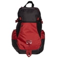 thumbnail image 1 of MOCHILA DEPORTIVO MASCULINO NBA TRUZT CHICAGO BULLS D (17 IN), 1 of 5