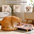 thumbnail image 6 of Elevated Cat Bowls with Food Mat, Splash Proof Anti Vomiting Raised Cat Food and Water Bowl Set, 2 Stainless Steel Dishes for Cats and Puppy, Pet Bowl for Indoor Cats White, 6 of 6