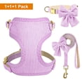 thumbnail image 3 of Beirui 3pcs Soft Mesh Dog Harness Cute Bowtie Collar and Leash for Small Pet Adjustable, 3 of 12