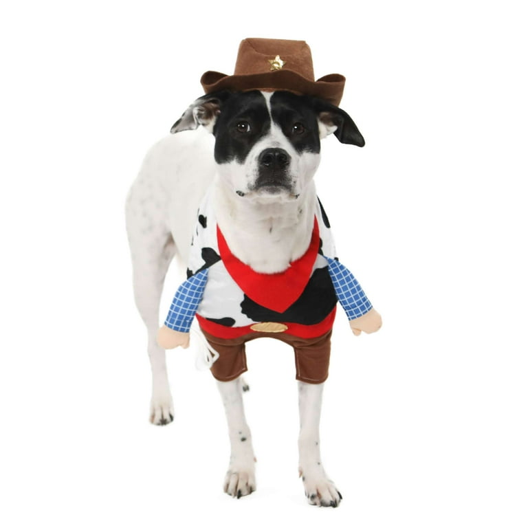 Dog dressed as cowboy hot sale