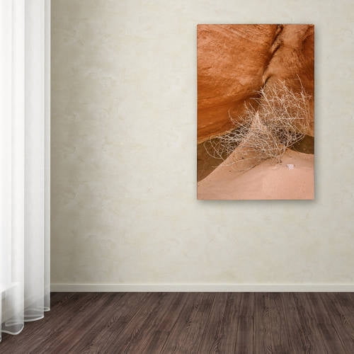 Trademark Fine Art 'Tumbleweed' Canvas Art by Michael Blanchette Photography