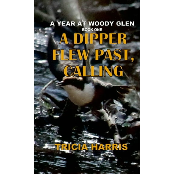 A Dipper Flew Past, Calling (Paperback)