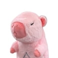thumbnail image 3 of Juguete Musical para Bebé Animal Peluche Chupete Dormir Lindo Capibara Creativo, 3 of 9