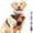 orange, variant on HYwys Dog Harness for Medium Dogs, Anti-Loss Dog Leash Vest Adjustable Easy on Puppy Harness Dog Chest Harness