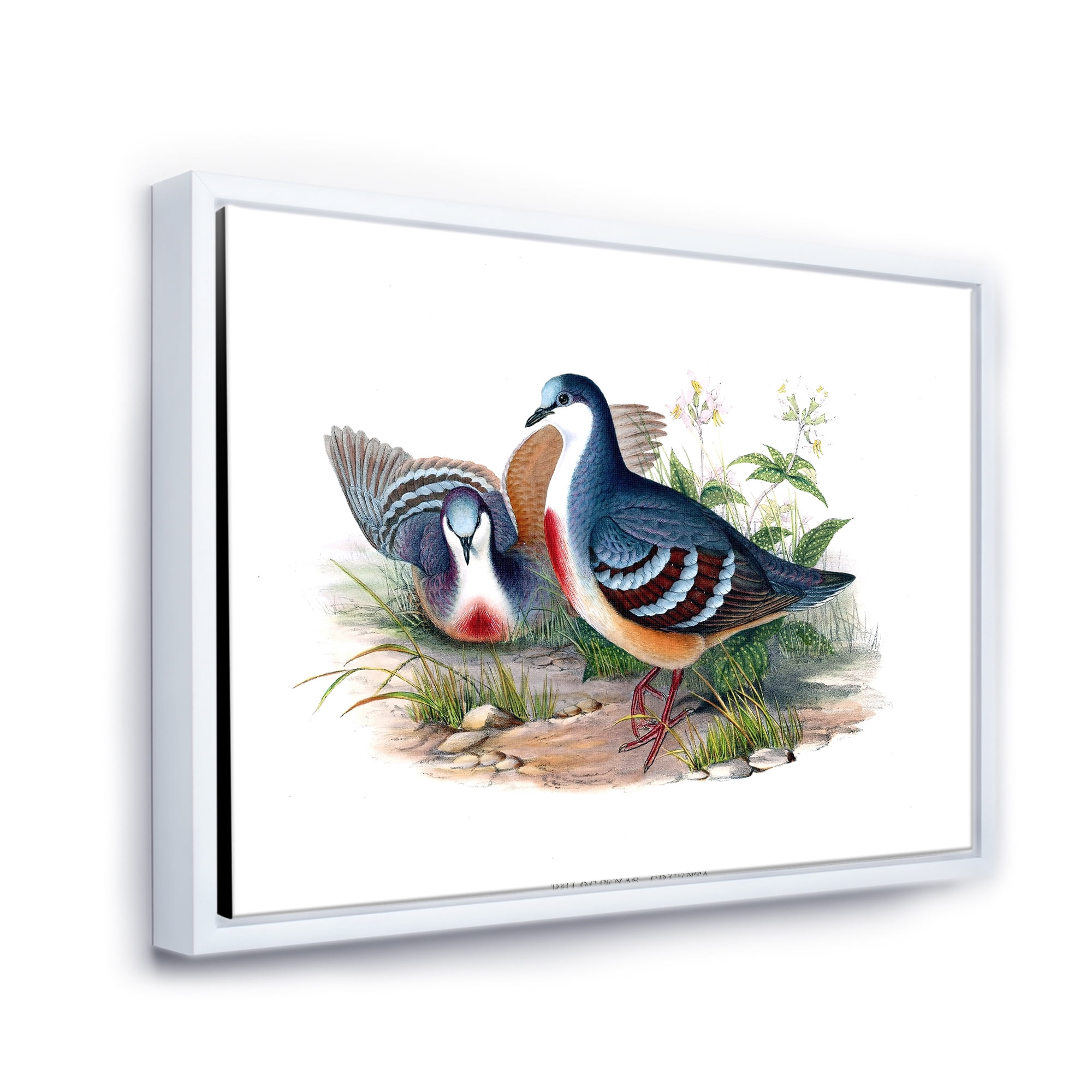 Designart 'Ancient Birds In The Wild IV' Traditional Framed Canvas Wall Art Print