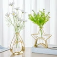 thumbnail image 5 of Porte-plante 2Pcs/Set Cadeau Géométrique Chic Étoile Forme Support Verre Plante Titulaire, 5 of 5