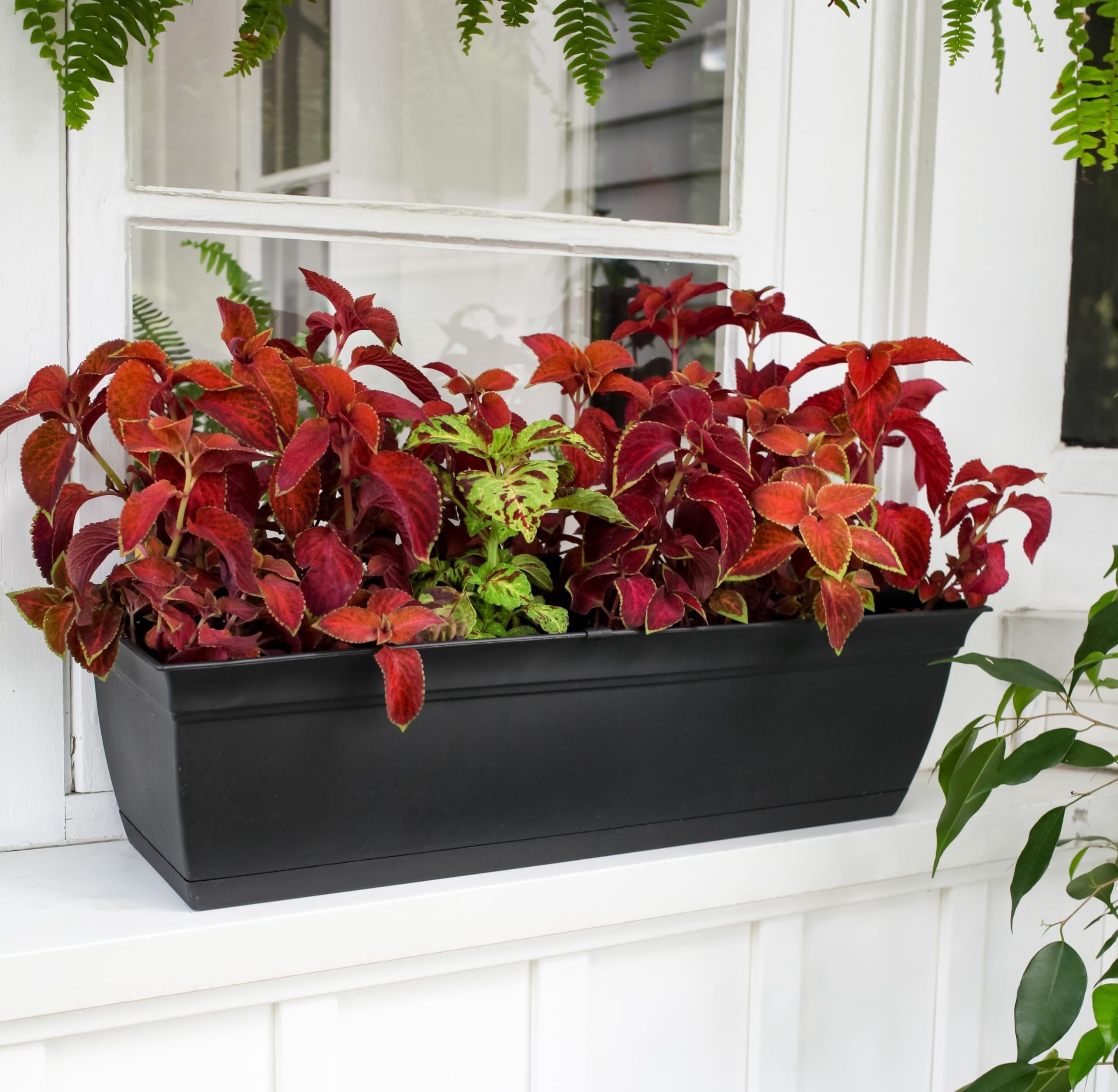 The HC Companies 24 Inch Eclipse Window Planter - Indoor Outdoor Rectangular Plant Pot with Removable Saucer for Flowers, Herbs, Black