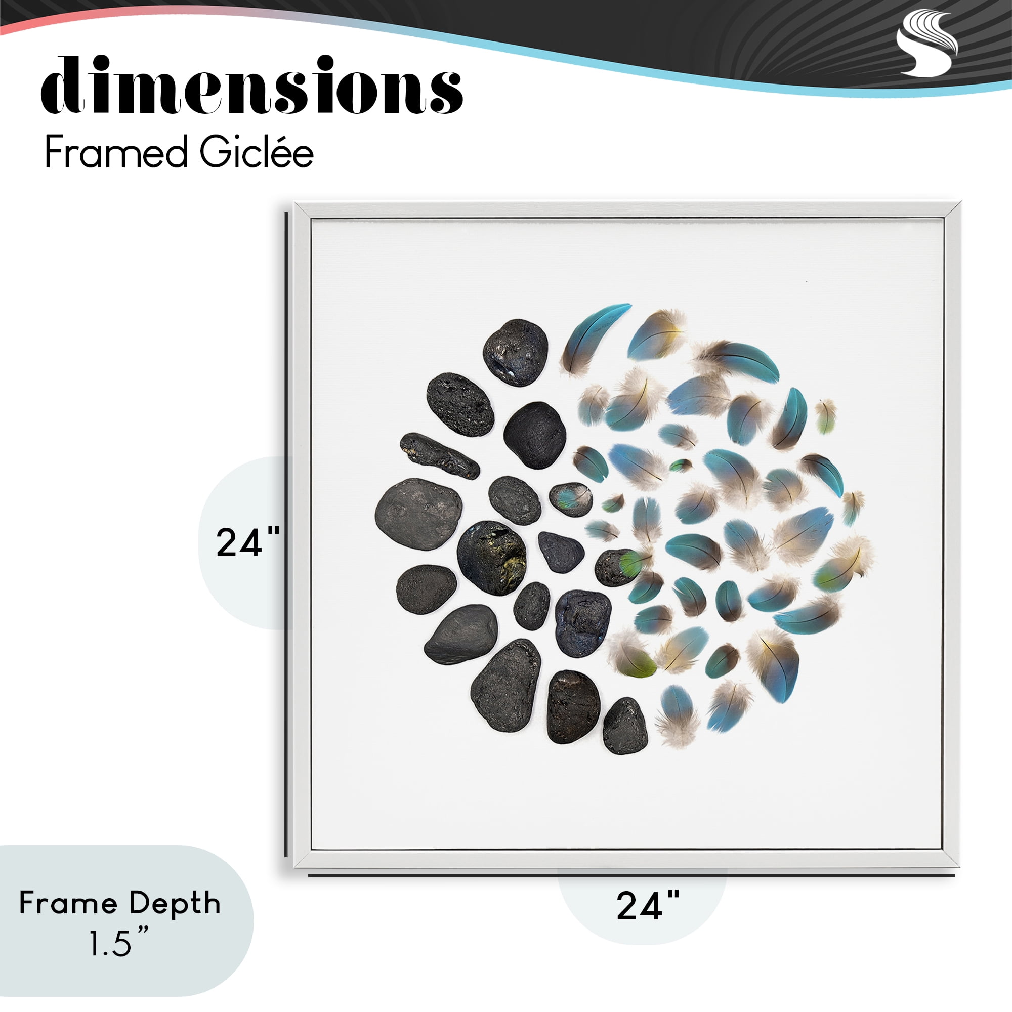 Stupell Industries Feathers & Rocks Collection White Framed Giclee Art, design by Beth Adoette
