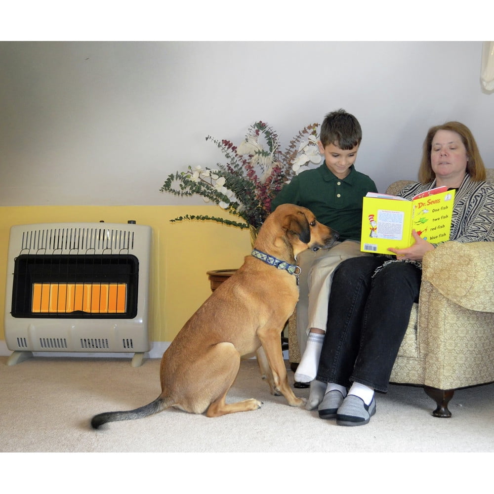 Mr. Heater F299830 30,000 BTU Vent Free Radiant Propane Heater - Walmart.com