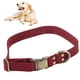 thumbnail image 4 of Collar De Perro Acolchado De Cuero, Collar De Perro De Cuero Acolchado Suave Impermeable Suave Conveniente Con Hebilla Grabada Para Gatos Para Perros ANGGREK  AC6618, 4 of 8