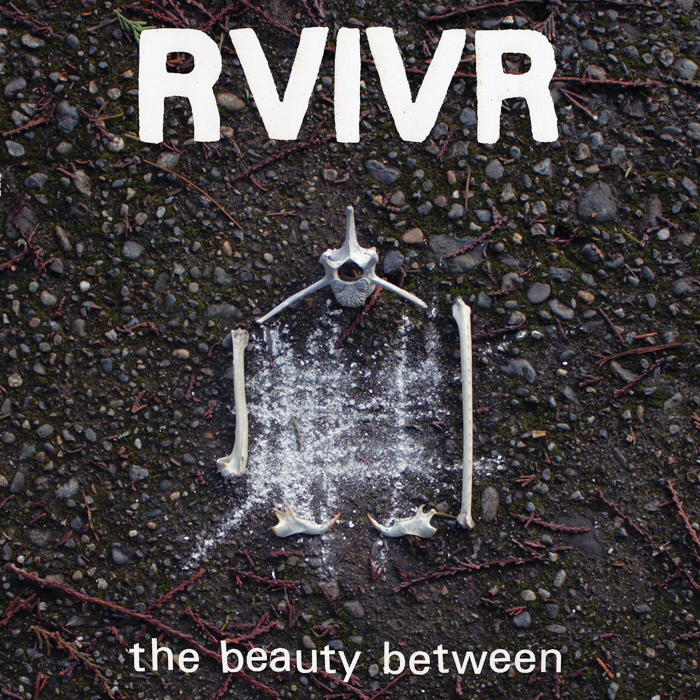 Rvivr - The Beauty Between - Black/Clear Vinyl - Music & Performance