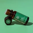 thumbnail image 6 of Plant Therapy Crave Control Essential Oil Blend 10 mL (1/3 oz) 100% Pure, Undiluted, Therapeutic Grade, 6 of 7