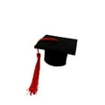 thumbnail image 3 of Graduation Cap Decorations 10 Pack Mini Graduation Caps Blake Bottle Toppers Bachelor Graduation Hat Shaped Party Decorations with Tassels, 3 of 6