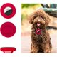 thumbnail image 2 of BRILLAR Soporte para collar de mascota Compatible con Airtag de silicona, 2 uds., naranja y rojo, 2 of 5