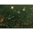 thumbnail image 3 of Franz Michael Siegmund von Purgau the elder 18x14 Black Modern Framed Museum Art Print Titled - Piece of Lawn with Thistle, Frogs and Dragonfly (1738), 3 of 5