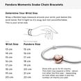 thumbnail image 6 of Pandora Women's Sterling Silver Snake Chain Charm Bracelet with Rose Heart Clasp, 6 of 9