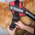 thumbnail image 6 of Essential dog harness, no-pull pet harness with 3 side rings for leash attachment, reflective and adjustable vest, for training, walking, running, 6 of 7